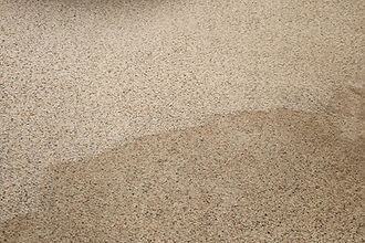 Carpet cleaning